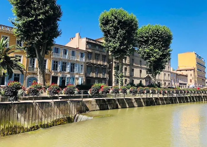 Appartement Terrasse Proche Centre Et Canal